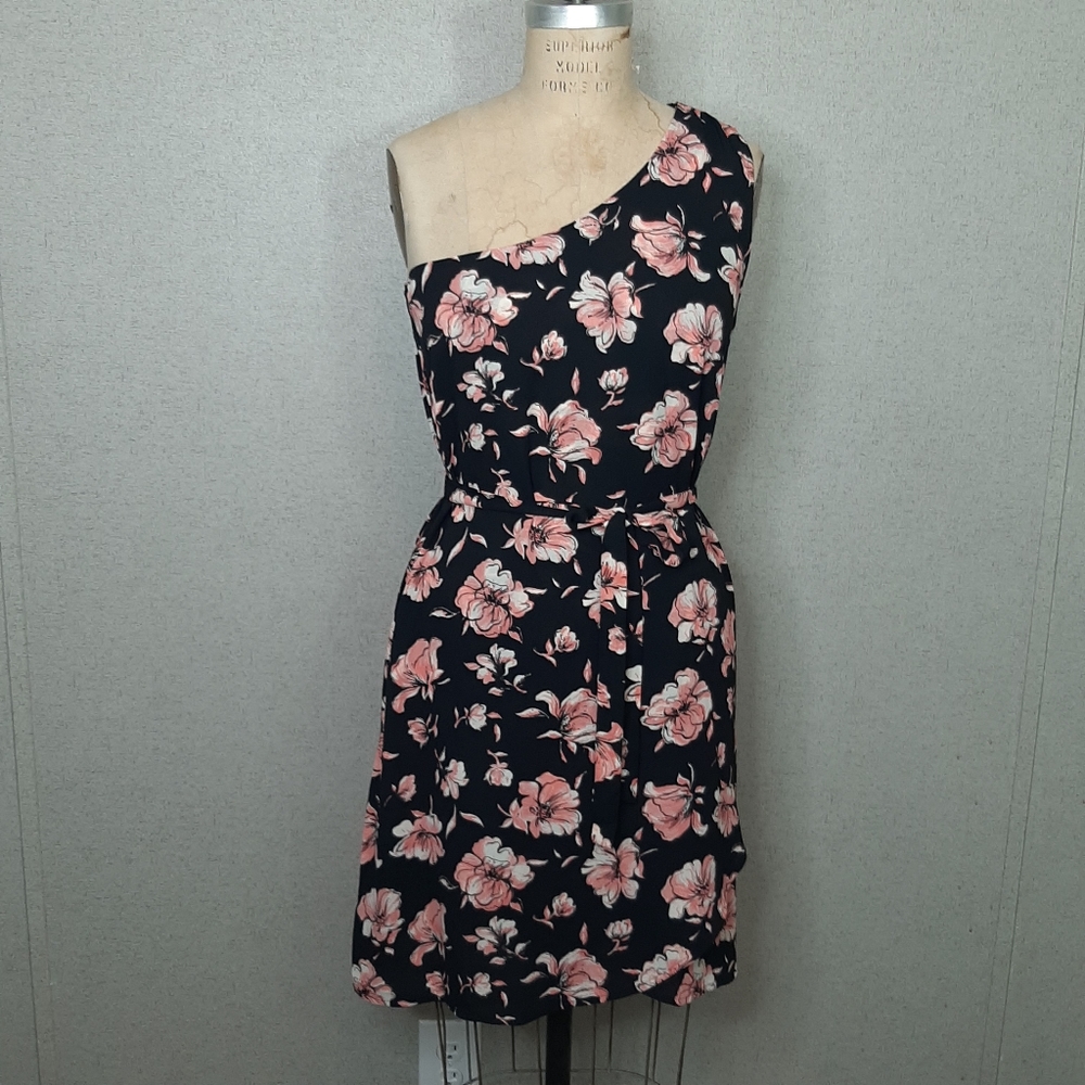 DR Danial Rainn Dress